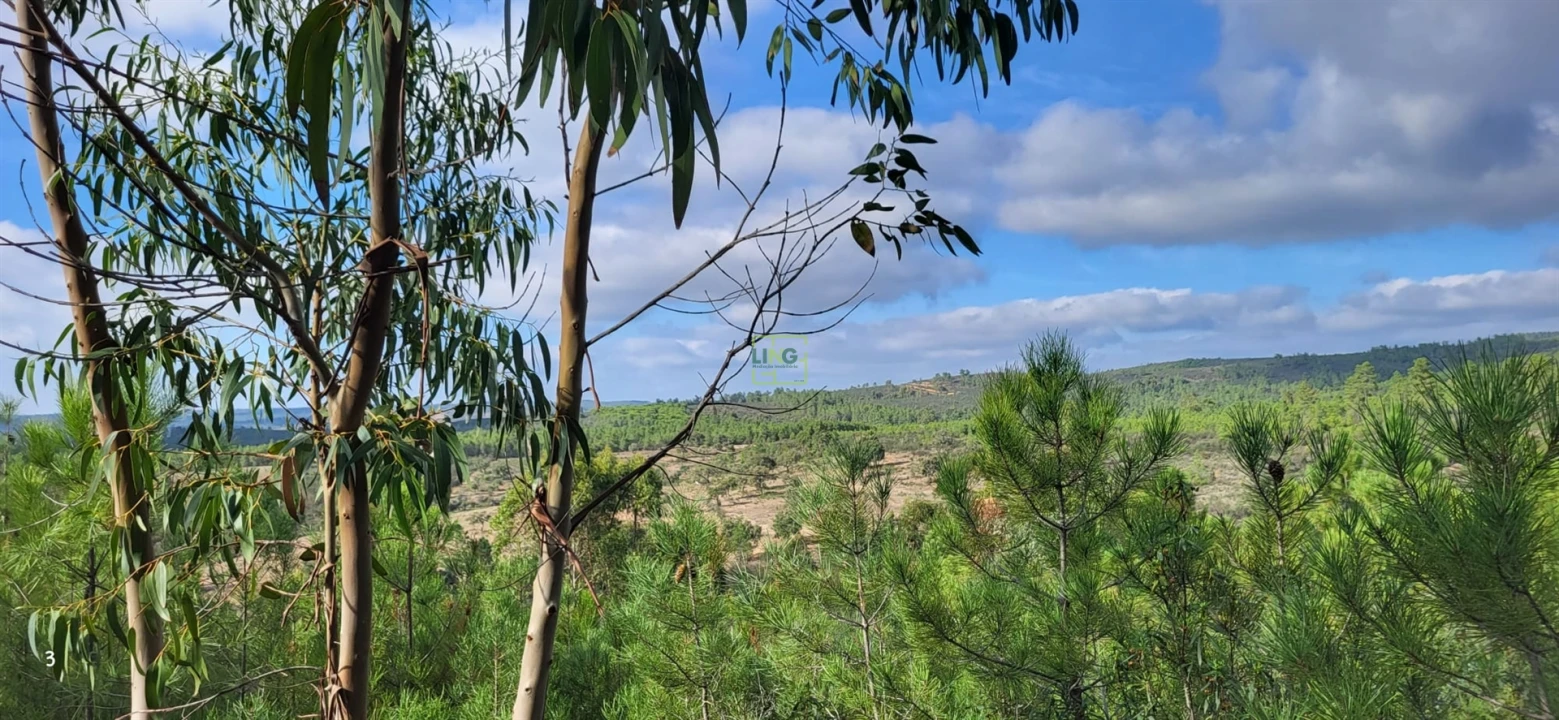 Terreno Agricola ou Rústico para Venda em Toulões Foto 5