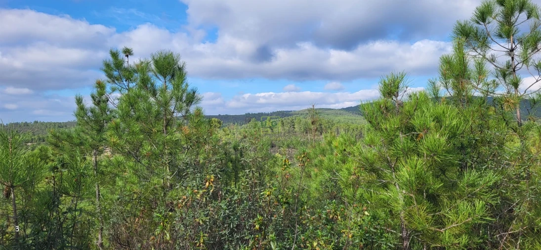 Terreno Agricola ou Rústico para Venda em Toulões Foto 9