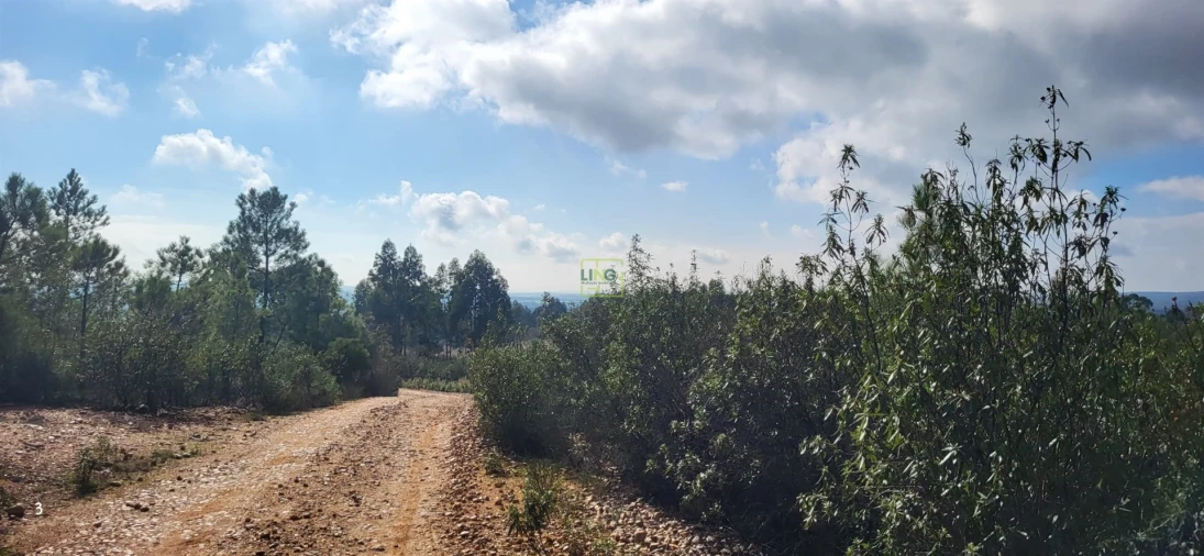 Terreno Agricola ou Rústico para Venda em Toulões Foto 8