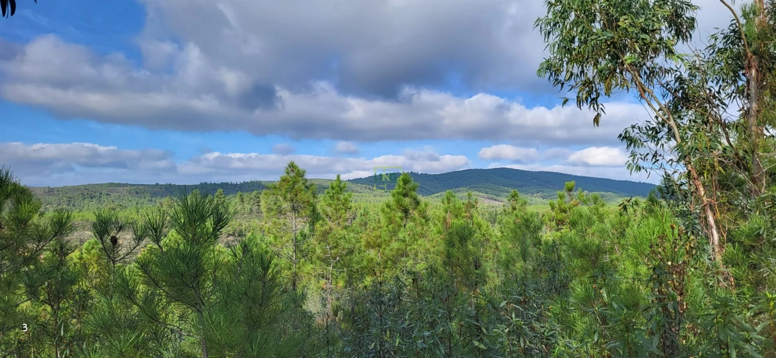Terreno Agricola ou Rústico para Venda em Toulões Foto 3