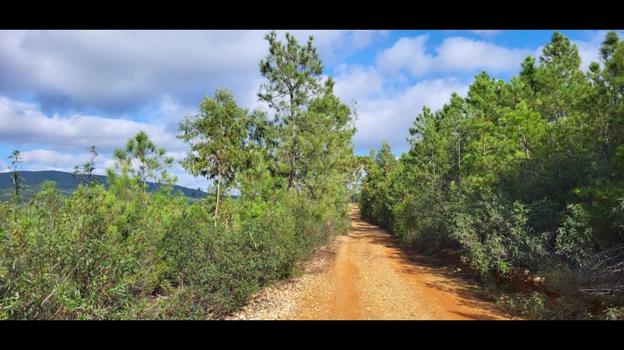 Terreno Agricola ou Rústico para Venda em Toulões