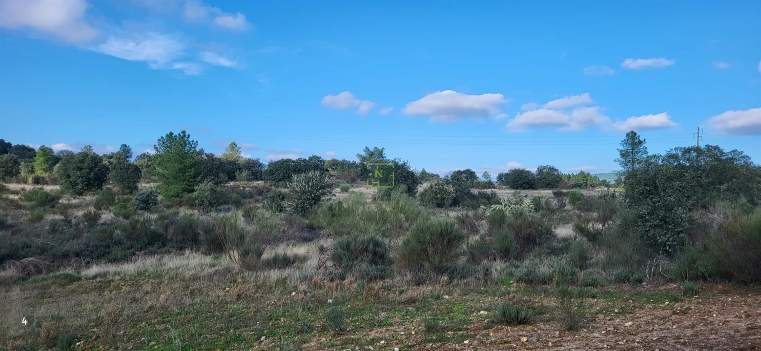 Terreno Agricola ou Rústico para Venda em Toulões Foto 11