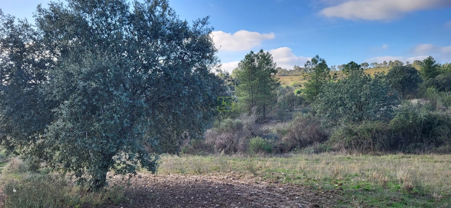 Terreno Agricola ou Rústico para Venda em Toulões Foto 4