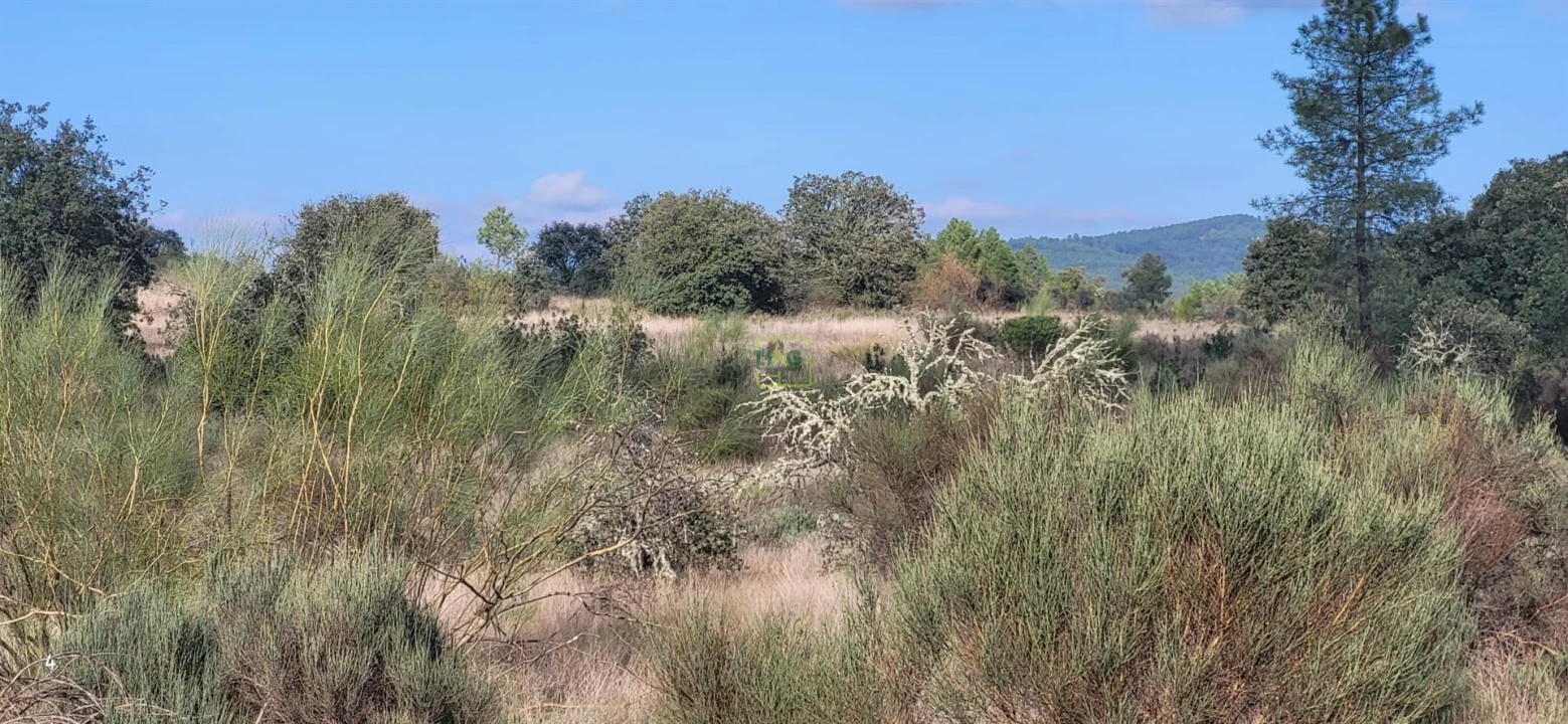 Terreno Agricola ou Rústico para Venda em Toulões Foto 8