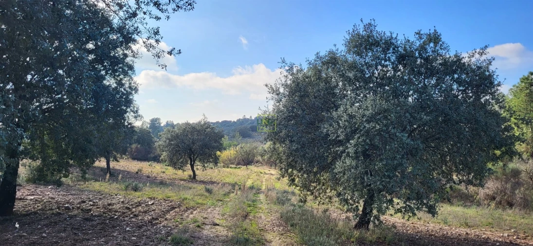 Terreno Agricola ou Rústico para Venda em Toulões Foto 5