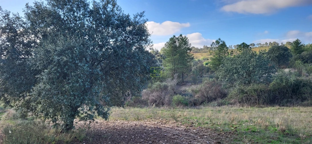 Terreno Agricola ou Rústico para Venda em Toulões Foto 4