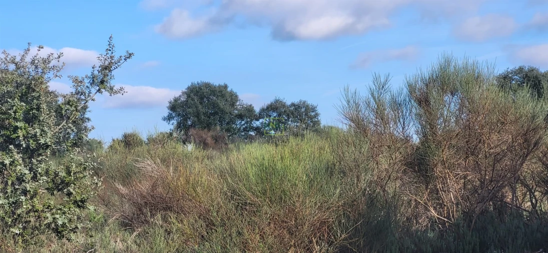 Terreno Agricola ou Rústico para Venda em Toulões Foto 7