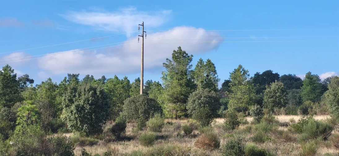 Terreno Agricola ou Rústico para Venda em Toulões Foto 10