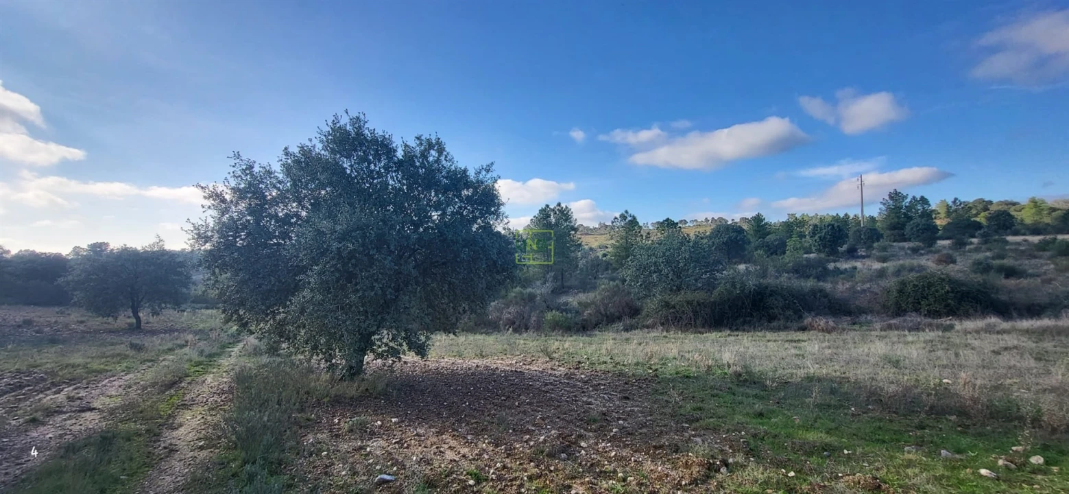 Terreno Agricola ou Rústico para Venda em Toulões Foto 3