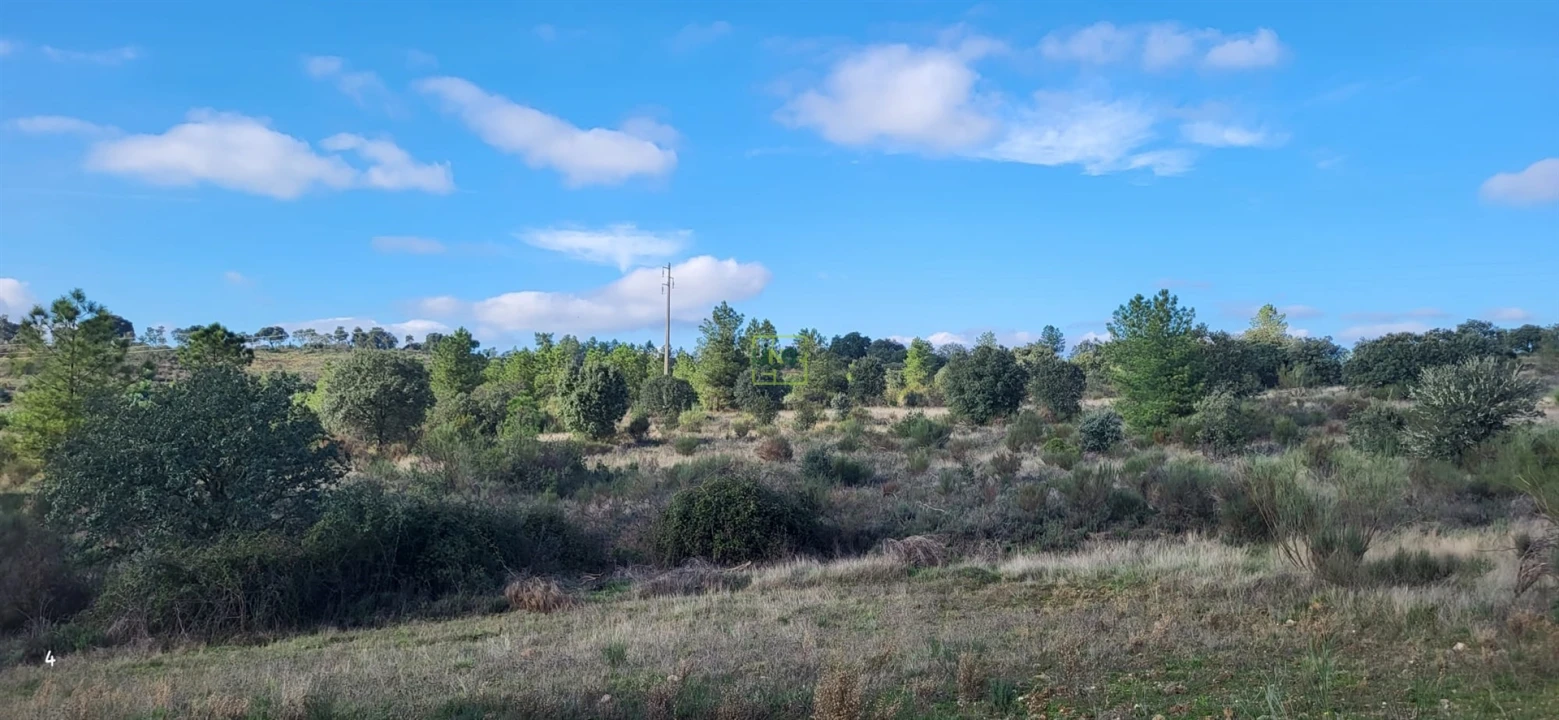 Terreno Agricola ou Rústico para Venda em Toulões Foto 12