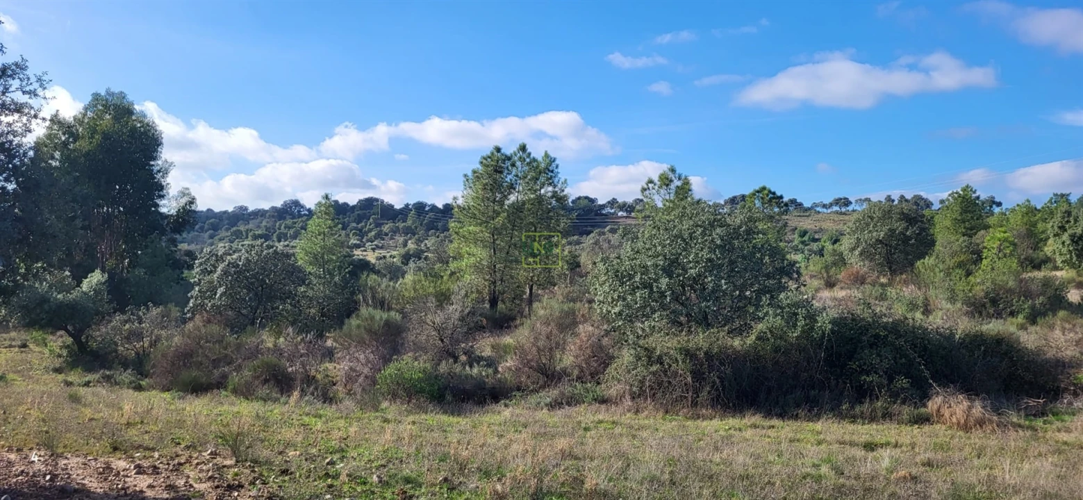 Terreno Agricola ou Rústico para Venda em Toulões Foto 6
