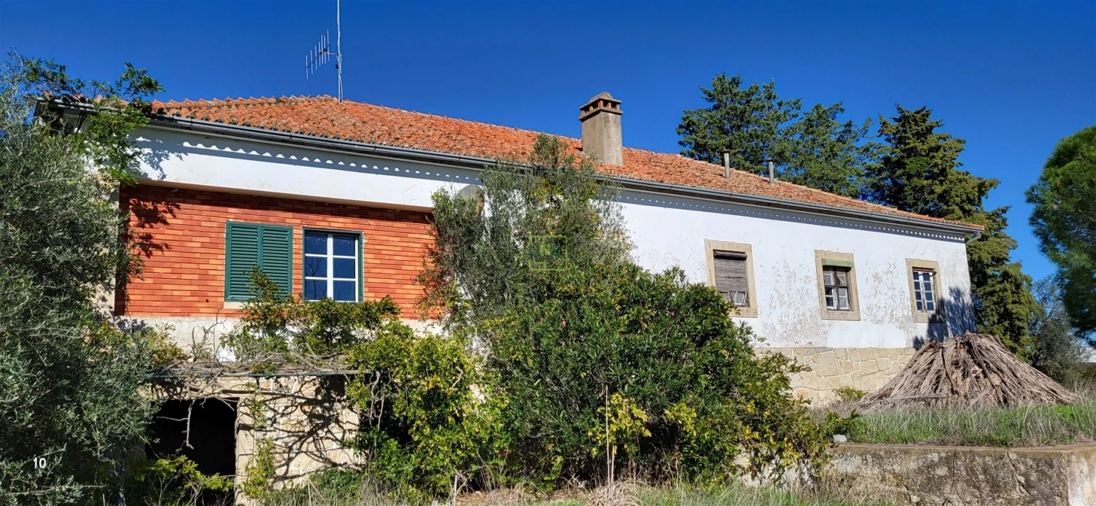 Quinta T0 para Venda em Idanha-A-Nova e Alcafozes Foto 42