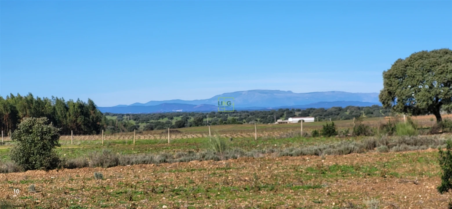Quinta T0 para Venda em Idanha-A-Nova e Alcafozes Foto 83