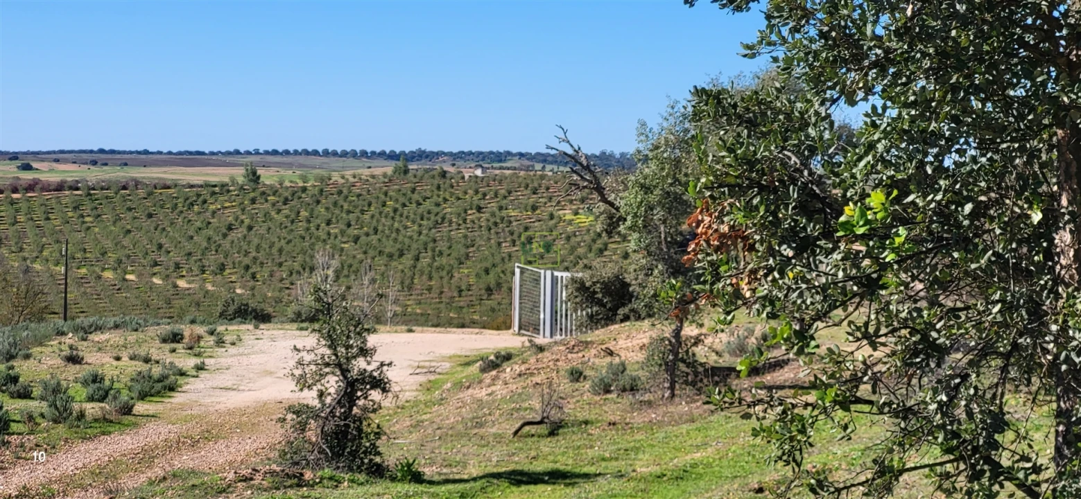 Quinta T0 para Venda em Idanha-A-Nova e Alcafozes Foto 13