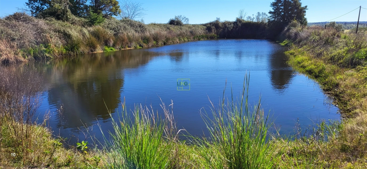Quinta T0 para Venda em Idanha-A-Nova e Alcafozes Foto 45