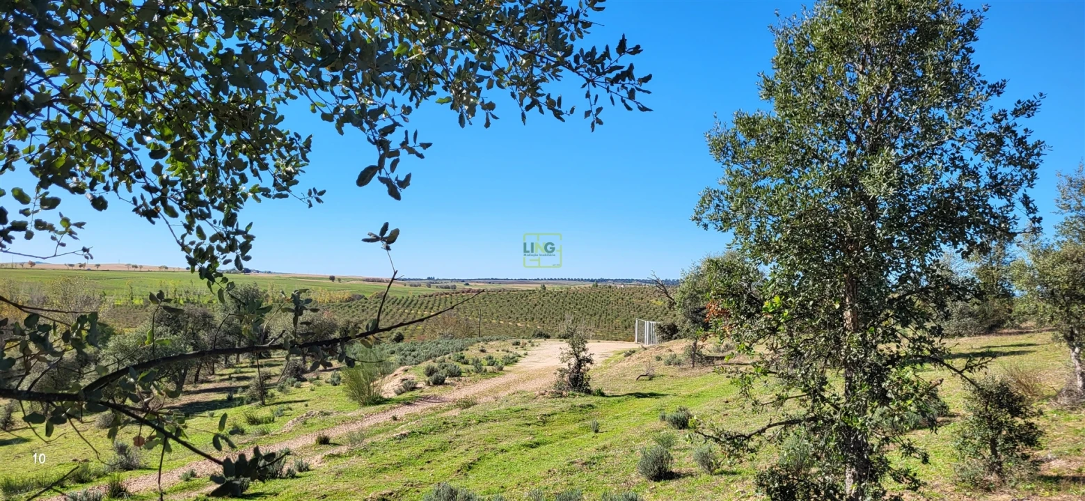 Quinta T0 para Venda em Idanha-A-Nova e Alcafozes Foto 12