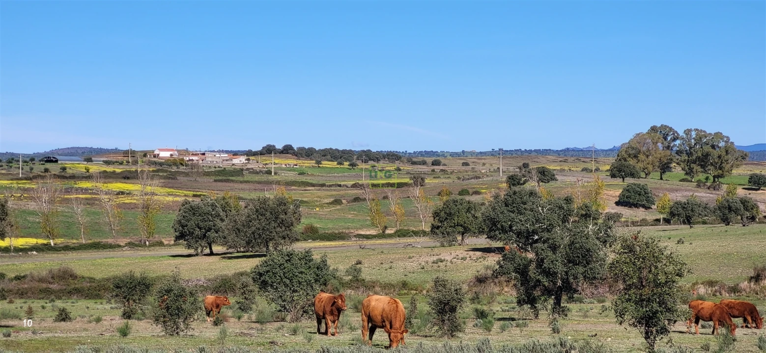 Quinta T0 para Venda em Idanha-A-Nova e Alcafozes Foto 7