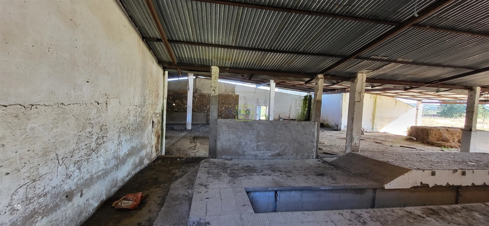 Quinta T0 para Venda em Idanha-A-Nova e Alcafozes Foto 20