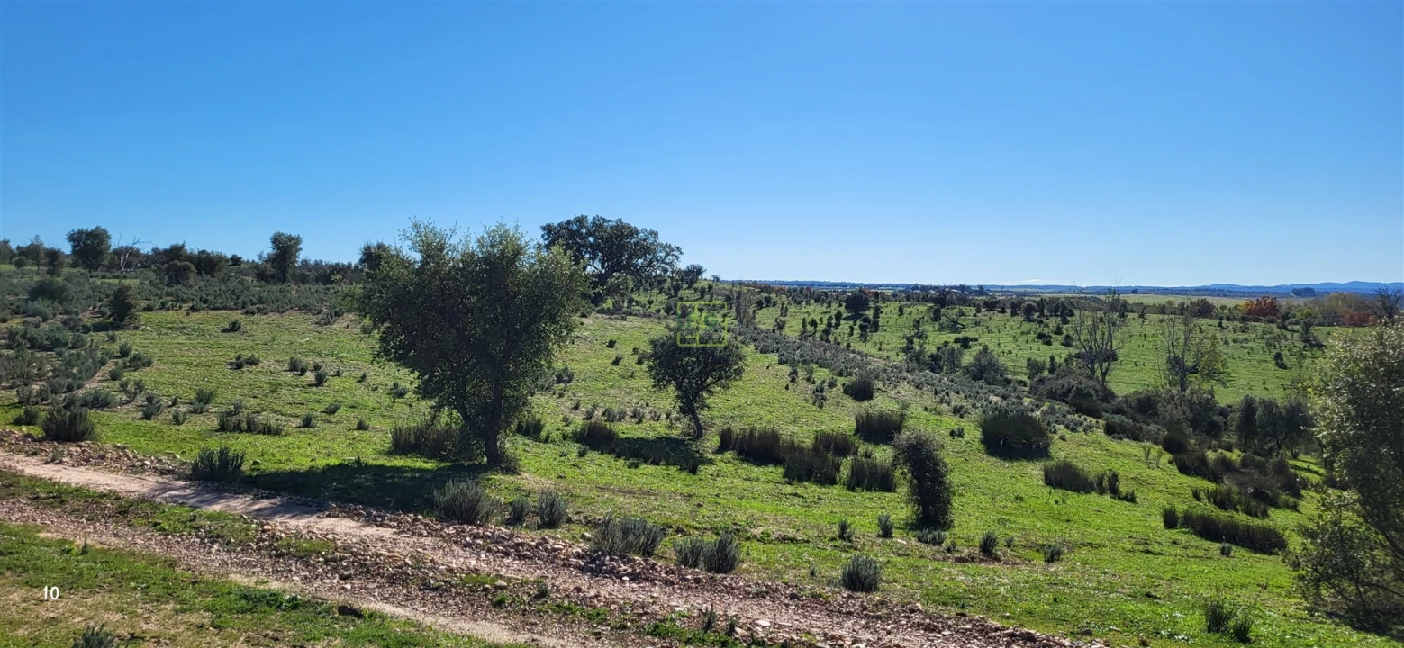 Quinta T0 para Venda em Idanha-A-Nova e Alcafozes Foto 16