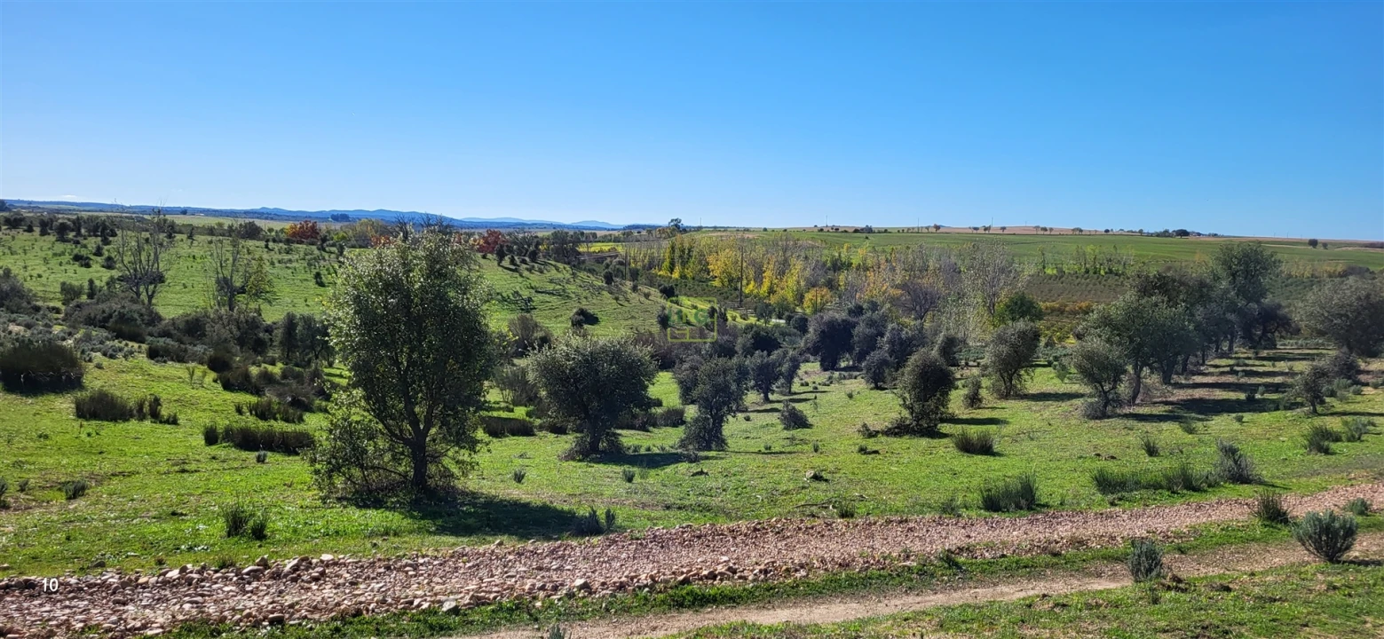 Quinta T0 para Venda em Idanha-A-Nova e Alcafozes Foto 15