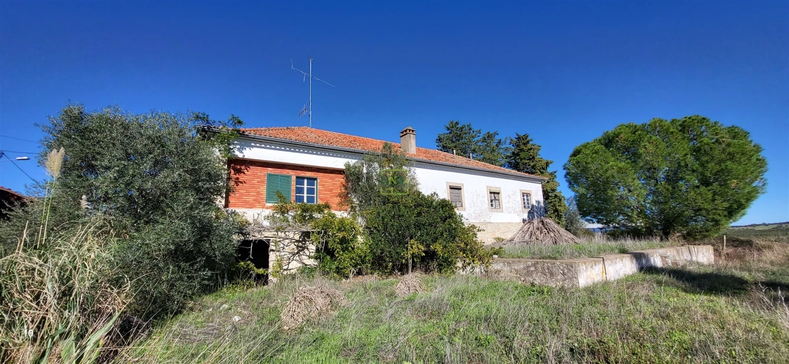 Quinta T0 para Venda em Idanha-A-Nova e Alcafozes Foto 41