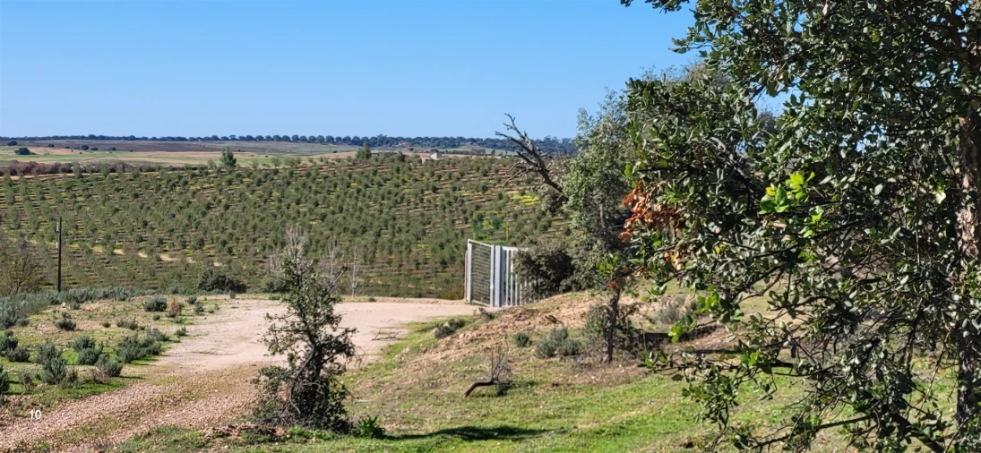 Quinta T0 para Venda em Idanha-A-Nova e Alcafozes Foto 13
