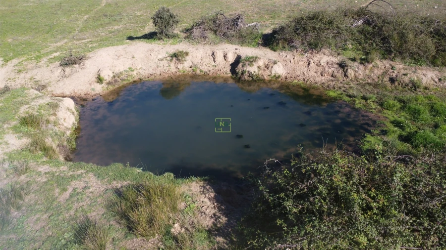 Quinta T0 para Venda em Idanha-A-Nova e Alcafozes Foto 79