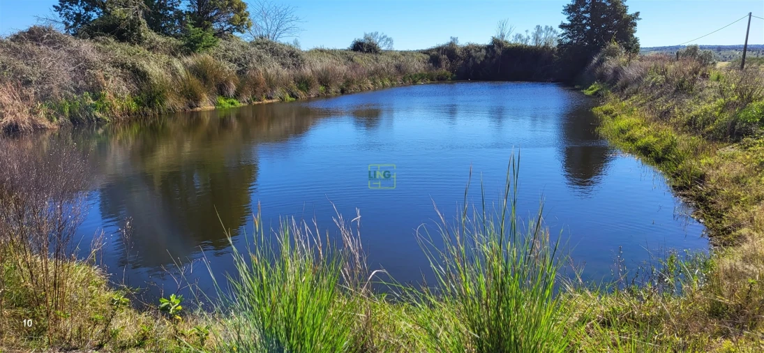 Quinta T0 para Venda em Idanha-A-Nova e Alcafozes Foto 45