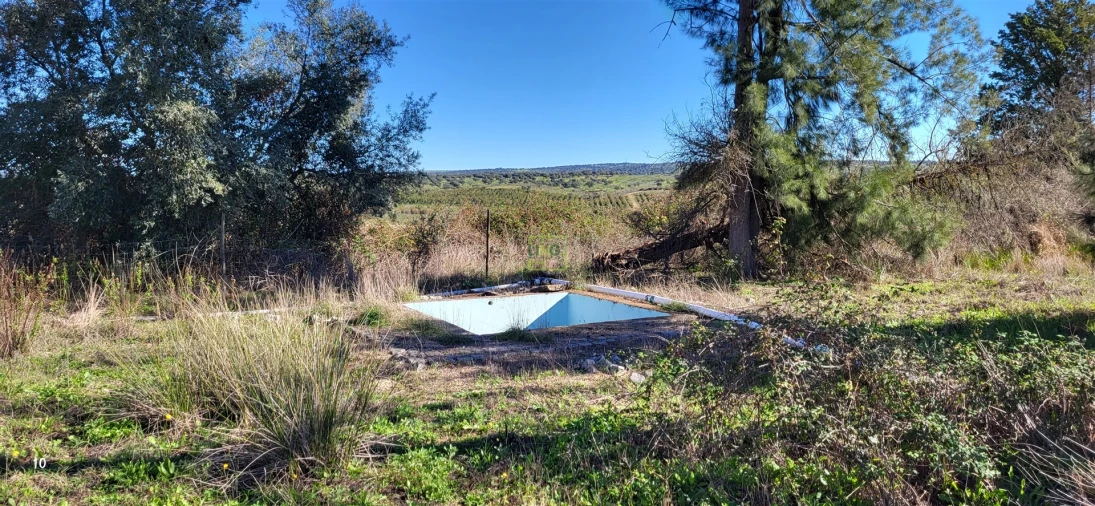 Quinta T0 para Venda em Idanha-A-Nova e Alcafozes Foto 43