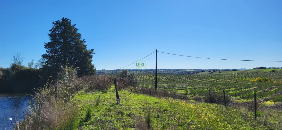 Quinta T0 para Venda em Idanha-A-Nova e Alcafozes Foto 49