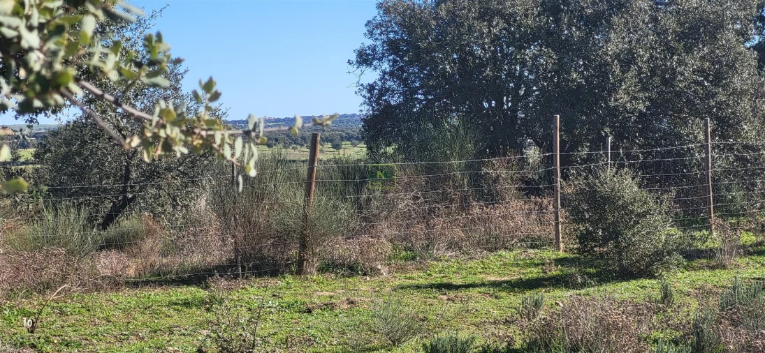 Quinta T0 para Venda em Idanha-A-Nova e Alcafozes Foto 78