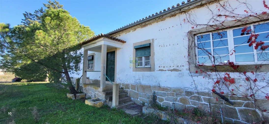 Quinta T0 para Venda em Idanha-A-Nova e Alcafozes Foto 75