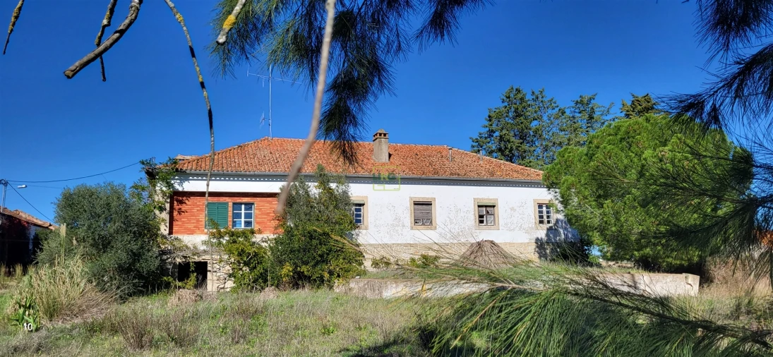 Quinta T0 para Venda em Idanha-A-Nova e Alcafozes Foto 50