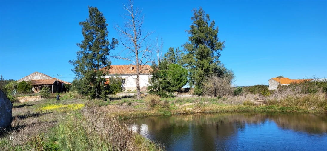 Quinta T0 para Venda em Idanha-A-Nova e Alcafozes Foto 47