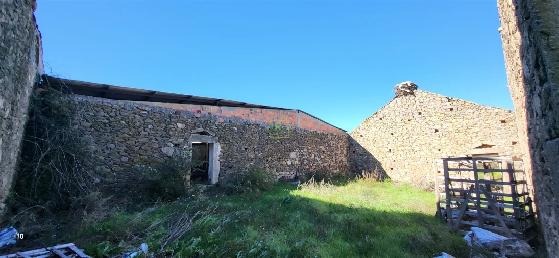 Quinta T0 para Venda em Idanha-A-Nova e Alcafozes Foto 30