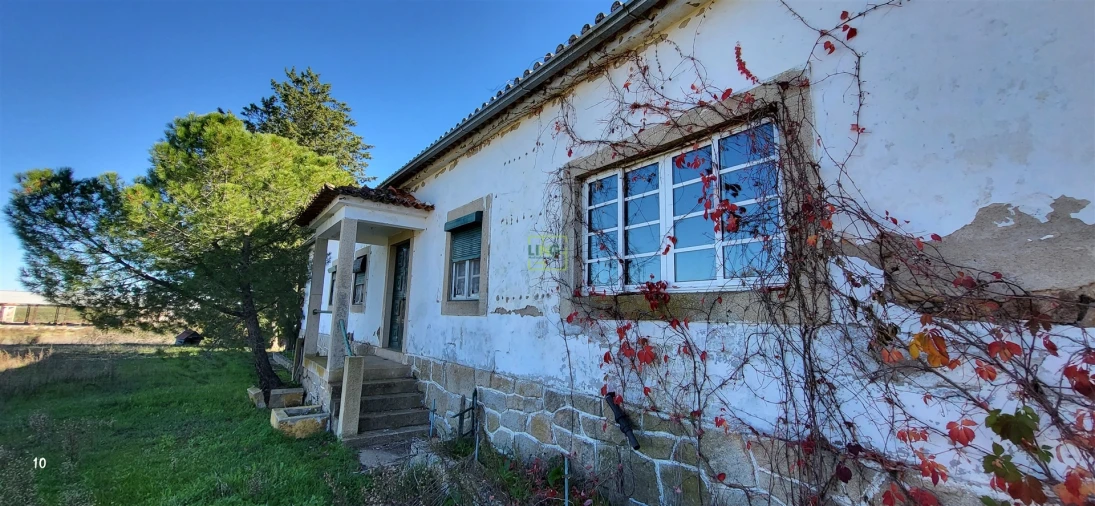 Quinta T0 para Venda em Idanha-A-Nova e Alcafozes Foto 38