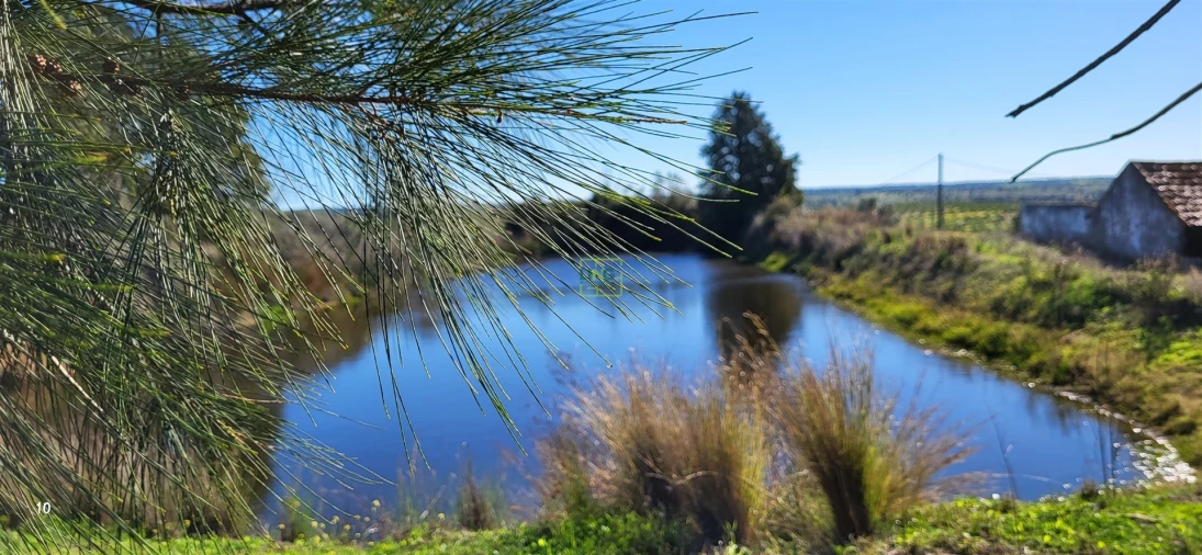 Quinta T0 para Venda em Idanha-A-Nova e Alcafozes Foto 44
