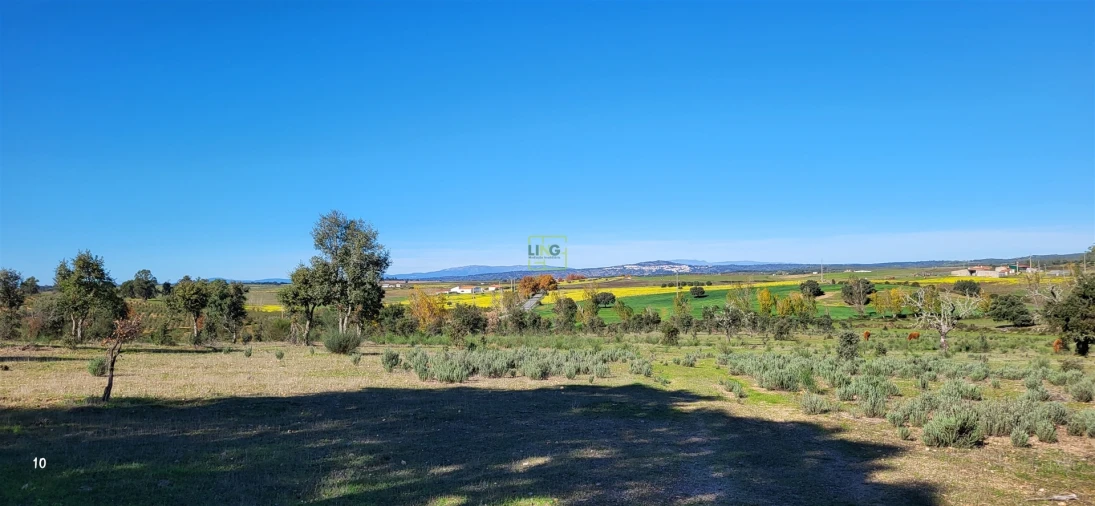 Quinta T0 para Venda em Idanha-A-Nova e Alcafozes Foto 5