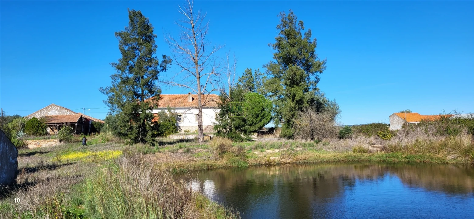 Quinta T0 para Venda em Idanha-A-Nova e Alcafozes Foto 47