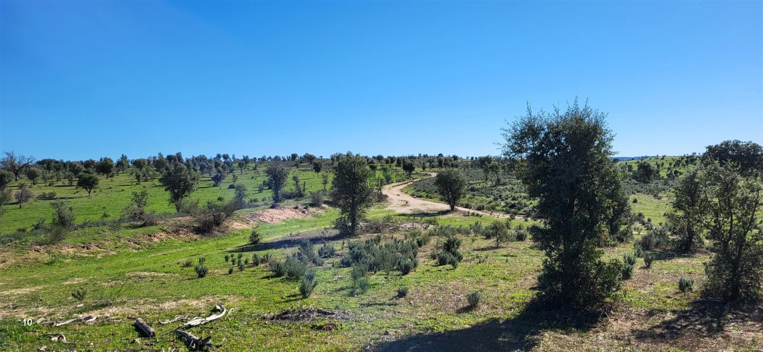 Quinta T0 para Venda em Idanha-A-Nova e Alcafozes Foto 11