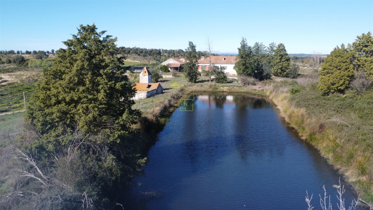 Quinta T0 para Venda em Idanha-A-Nova e Alcafozes Foto 82