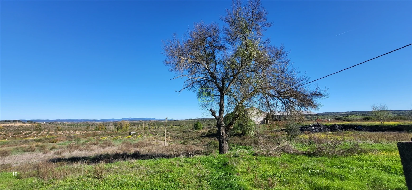 Quinta T0 para Venda em Idanha-A-Nova e Alcafozes Foto 29