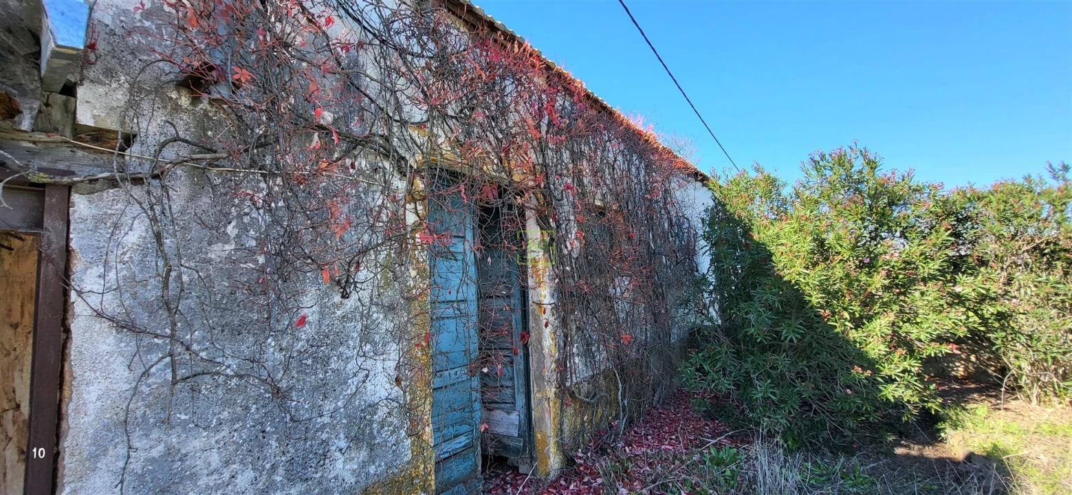 Quinta T0 para Venda em Idanha-A-Nova e Alcafozes Foto 39