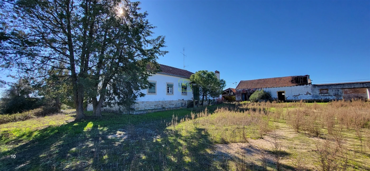Quinta T0 para Venda em Idanha-A-Nova e Alcafozes Foto 76