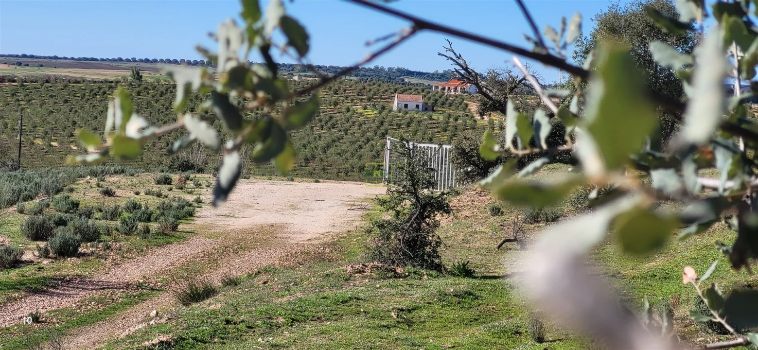 Quinta T0 para Venda em Idanha-A-Nova e Alcafozes Foto 14