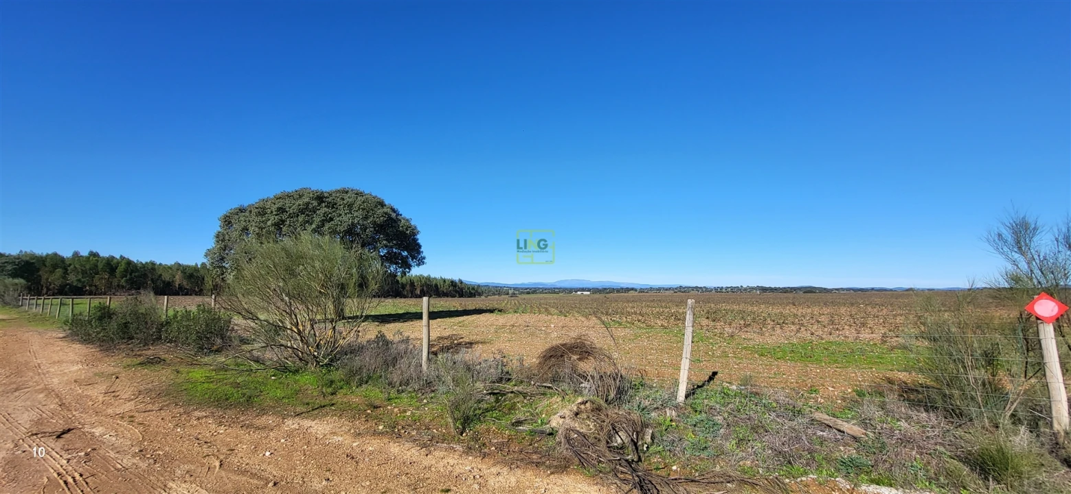 Quinta T0 para Venda em Idanha-A-Nova e Alcafozes Foto 39