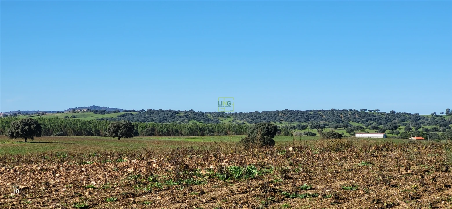 Quinta T0 para Venda em Idanha-A-Nova e Alcafozes Foto 34