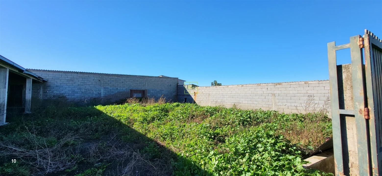 Quinta T0 para Venda em Idanha-A-Nova e Alcafozes Foto 19
