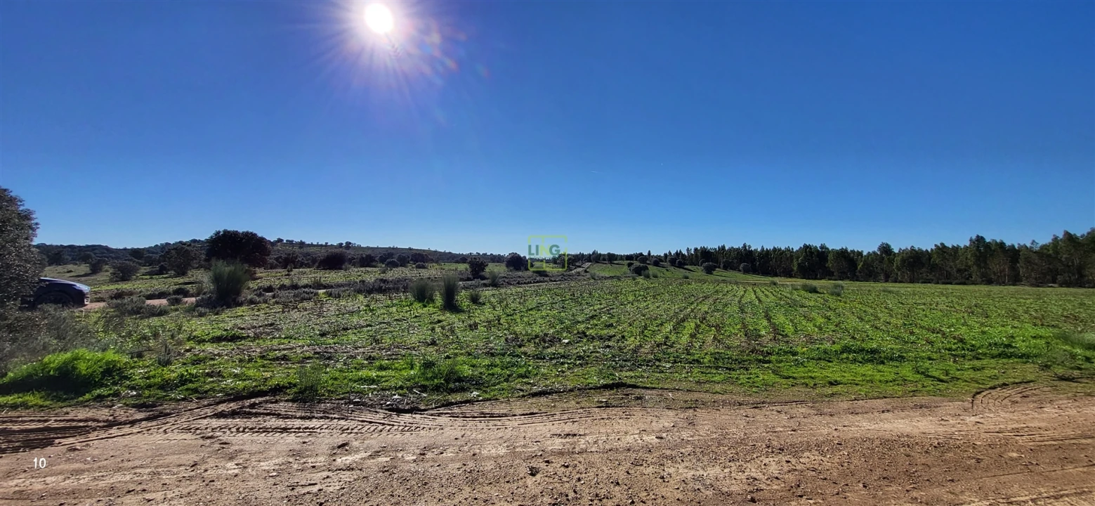 Quinta T0 para Venda em Idanha-A-Nova e Alcafozes Foto 41