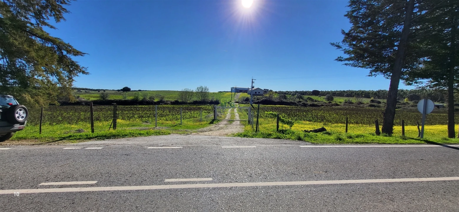 Quinta T0 para Venda em Idanha-A-Nova e Alcafozes Foto 32